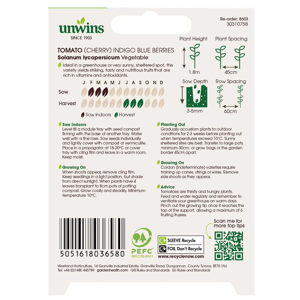 Tomato Indigo Blue Berries - Seed Packets - Windyridge Garden Centre