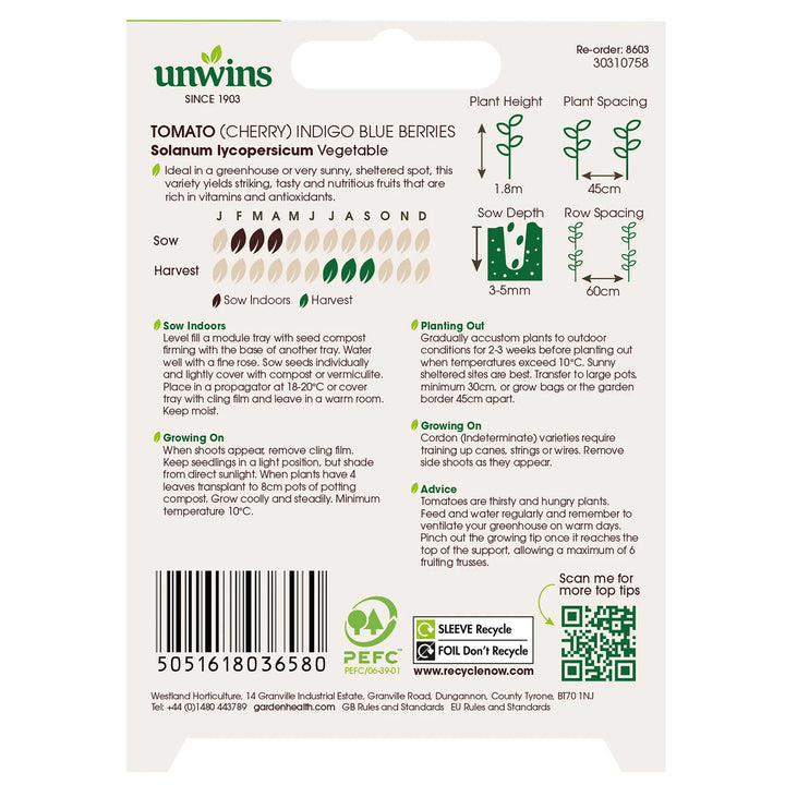 Tomato Indigo Blue Berries - Seed Packets - Windyridge Garden Centre
