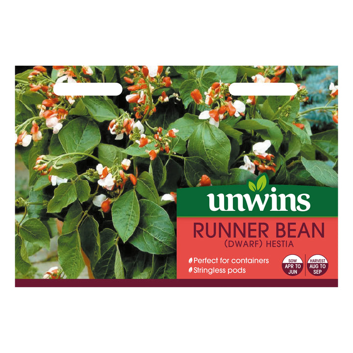 Runner Bean (Dwarf) Hestia