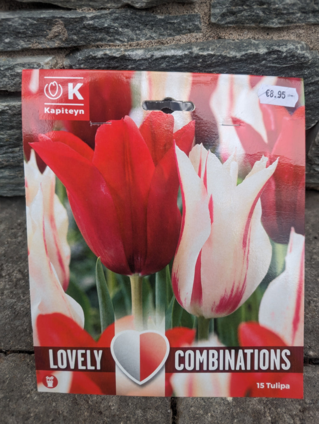 COMBI TULIPA RED & WHITE x 15
