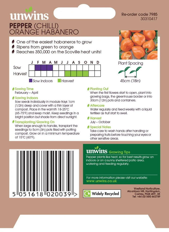 Pepper (Chilli) Orange Habanero