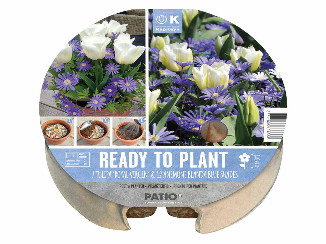 PLANT-O-MAT TULIPA & ANEMONE x 19