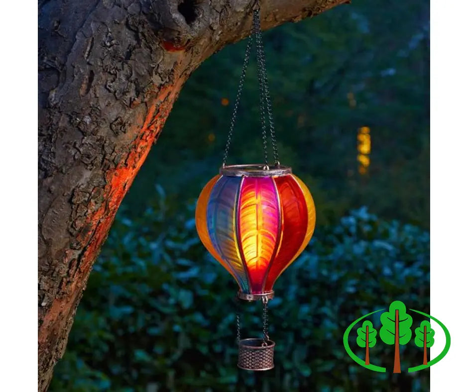 Rainbow Flaming Balloon - Outdoor Living - Windyridge Garden Centre