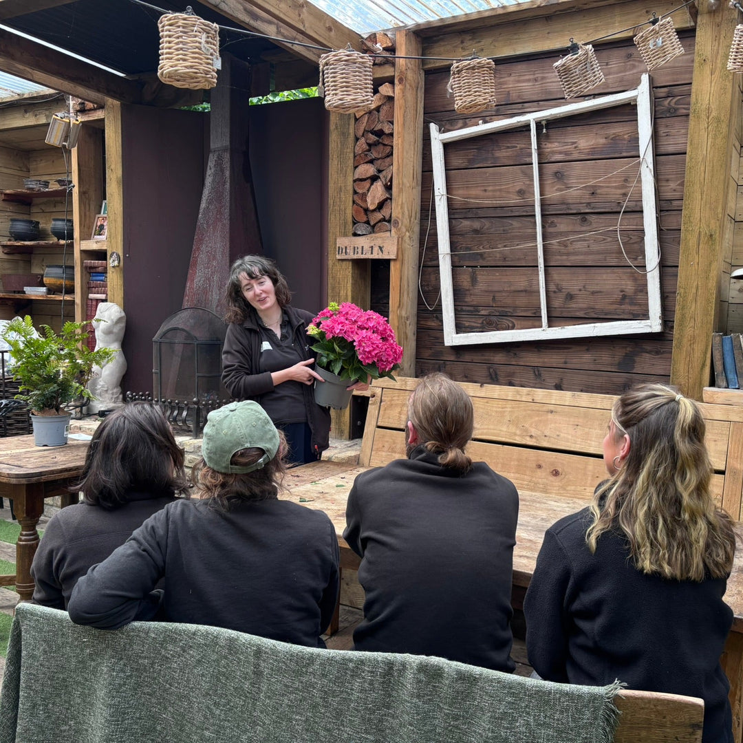 Windyridge Gardening for Beginners 2026 Sunday Morning 10am (6 Week Course starts 13th September 2026)