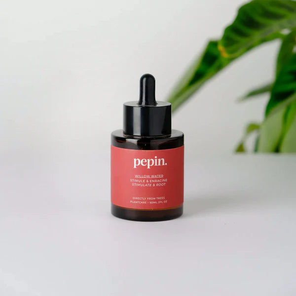 Willow water 
for cuttings & repotting