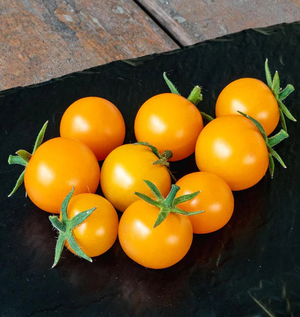 Tomato Sungold F1 - Seed Packets - Windyridge Garden Centre