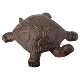 Turtle large