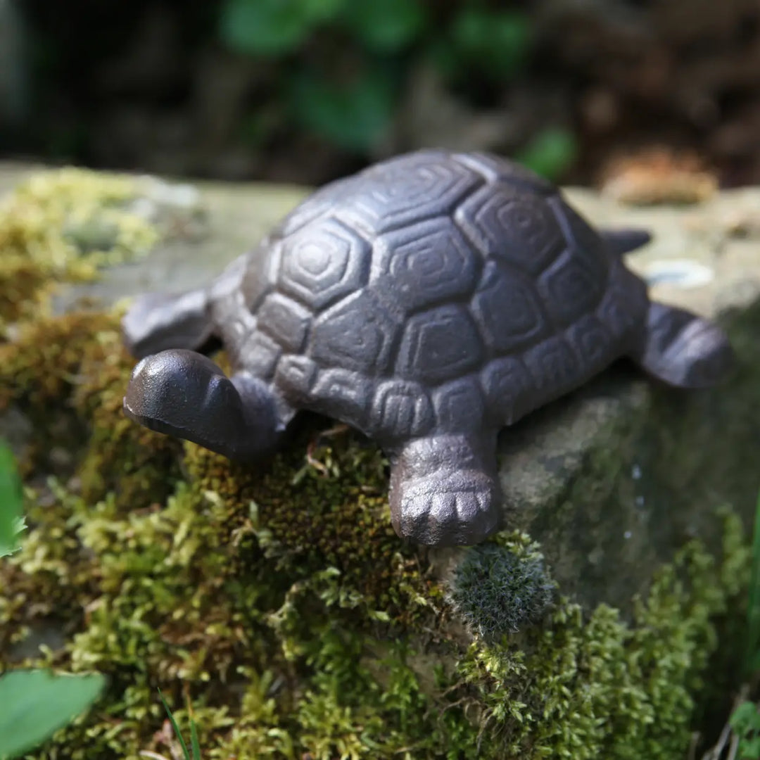 Turtle large