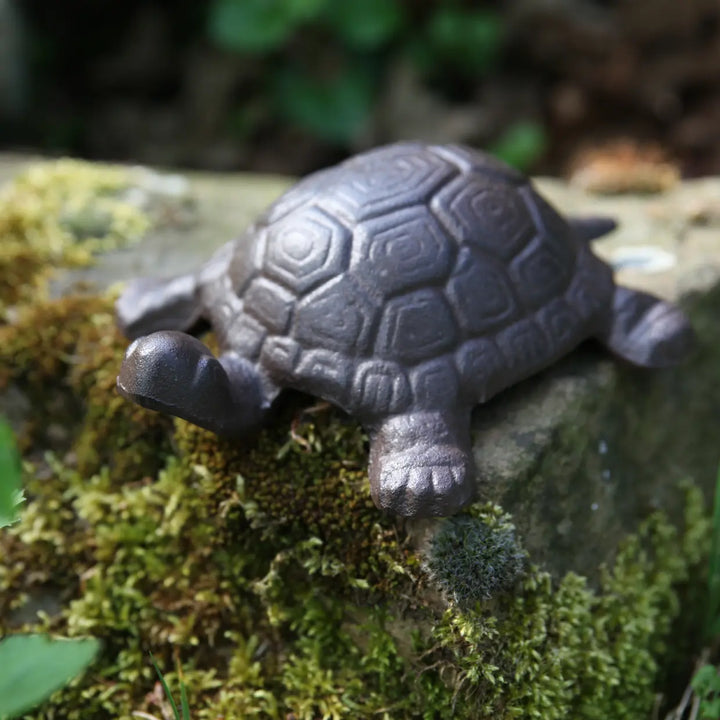 Turtle large