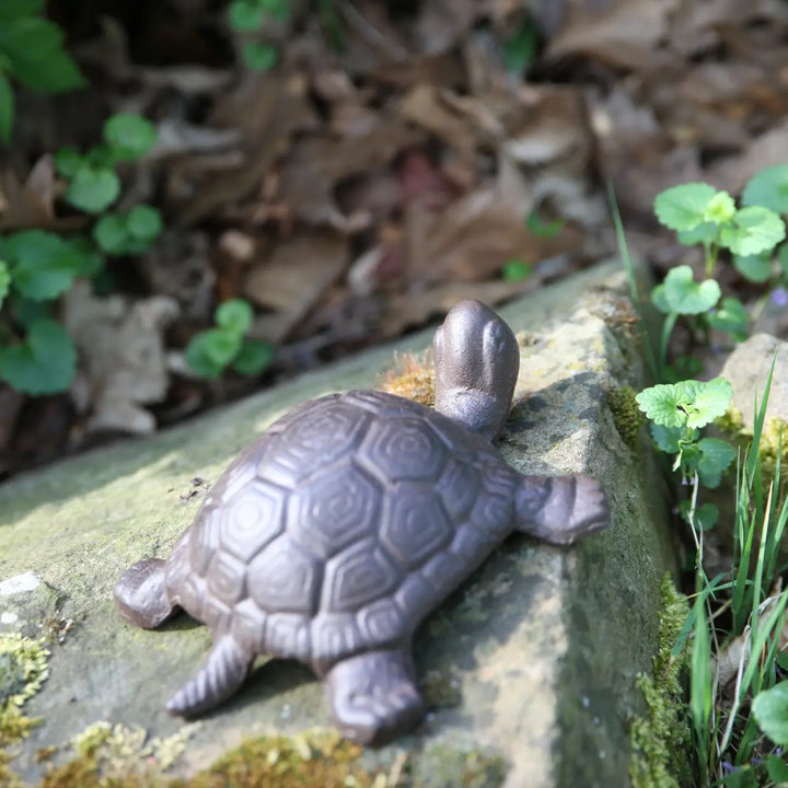 Turtle large