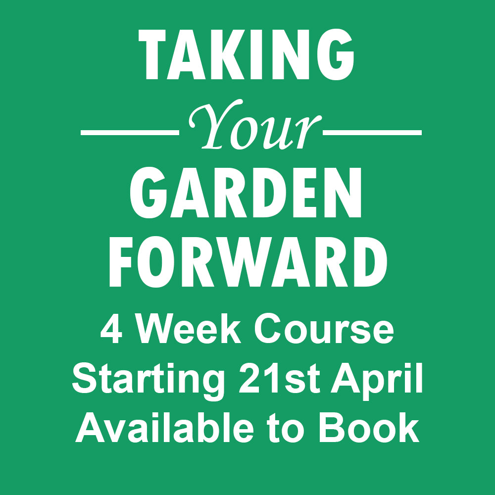 Windyridge Taking Your Garden Forward Tuesday Morning 10:30am (4 Week Course starts 21st April 2026)