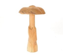 Teak Mushroom Tope   Wood
