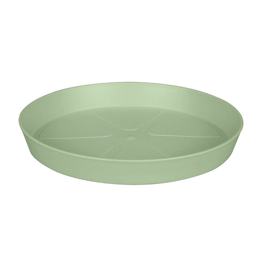 loft urban saucer round pistachio green Ø30cm - Pots - Windyridge Garden Centre