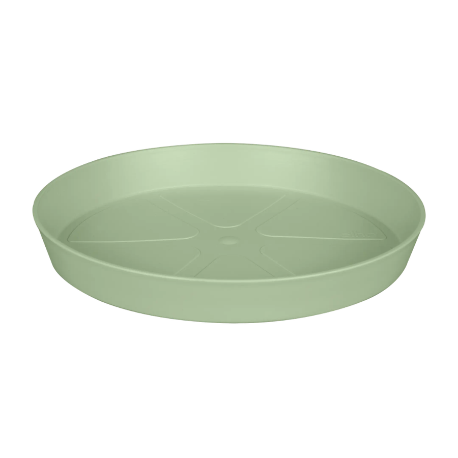loft urban saucer round pistachio green Ø30cm - Pots - Windyridge Garden Centre