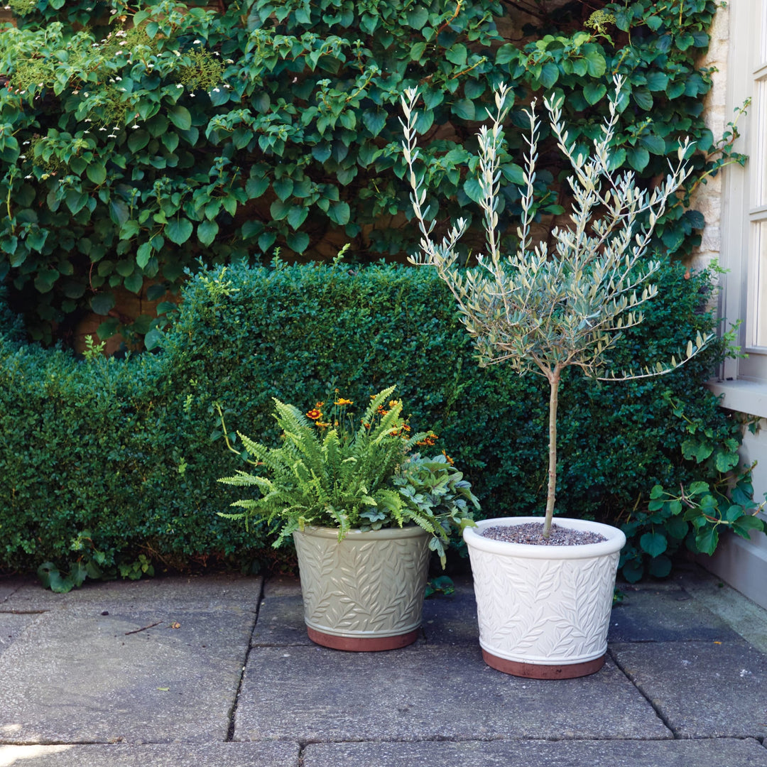 Green William Morris Ø32cm Pot (Edward V Pot)