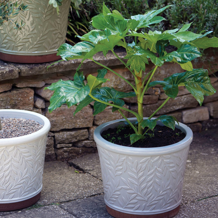 Grey William Morris Ø26cm Pot (Edward V Pot)