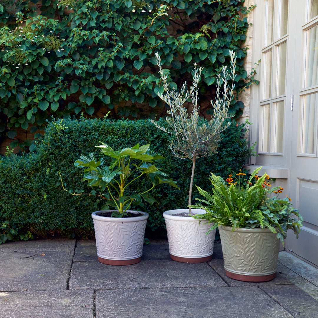 32CM WMORRISV POT CREAM