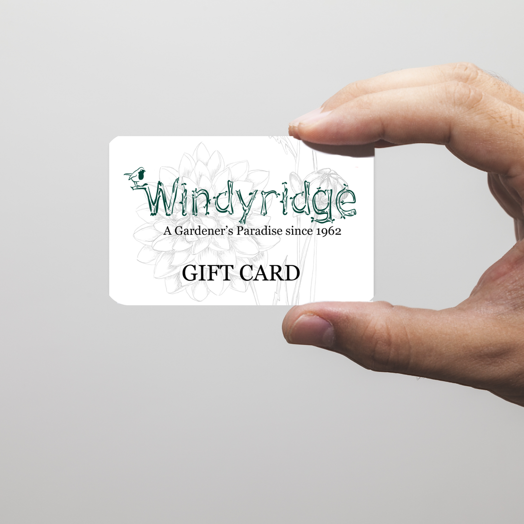 Windyridge Physical Gift Card from €25-€1000 - Gift Vouchers - Windyridge Garden Centre