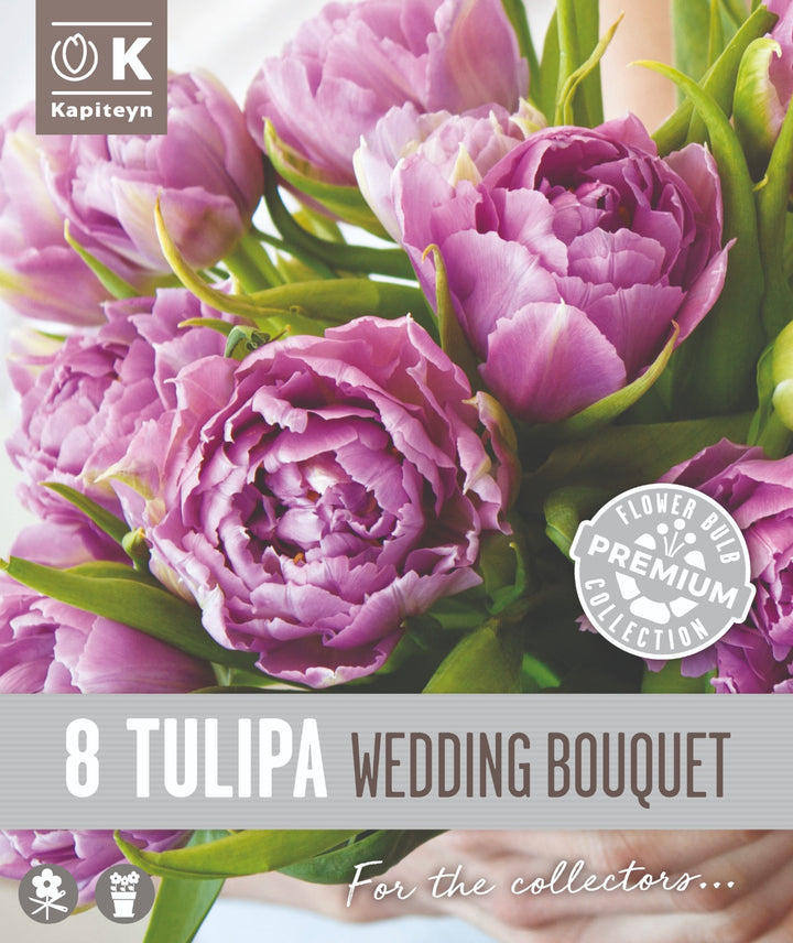 TULIPA WEDDING BOUQUET x 8
