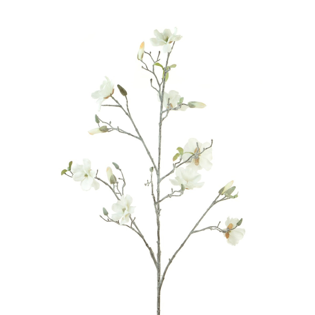 Frosty Magnolia w/Buds 112cm