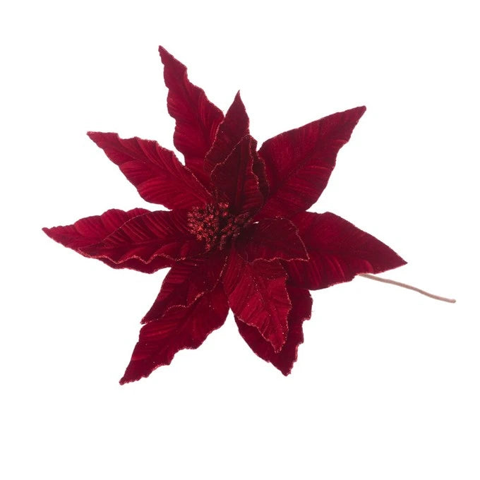 Glitter Tipped Poinsettia 48cm