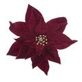 Velvet Poinsettia Clip 31cm