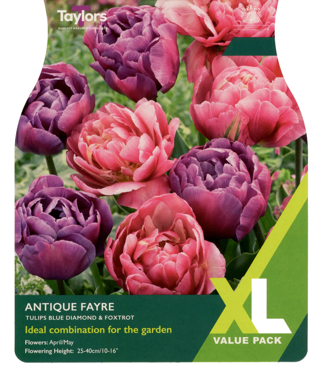 12 TULIP ANTIQUE FAYRE 10-11