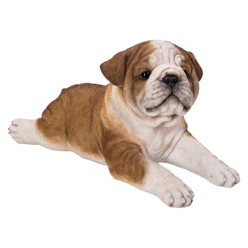 RL Laying Bulldog Puppy A