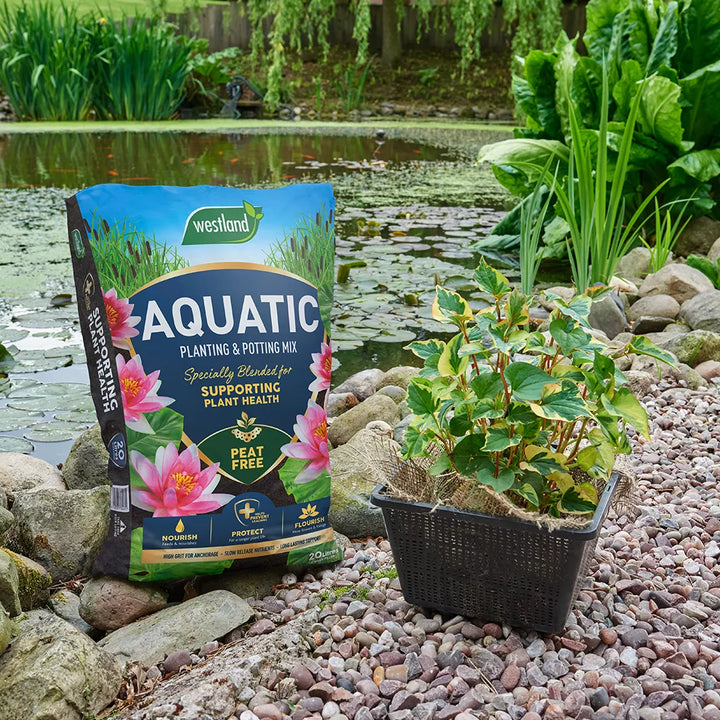Aquatic Compost
