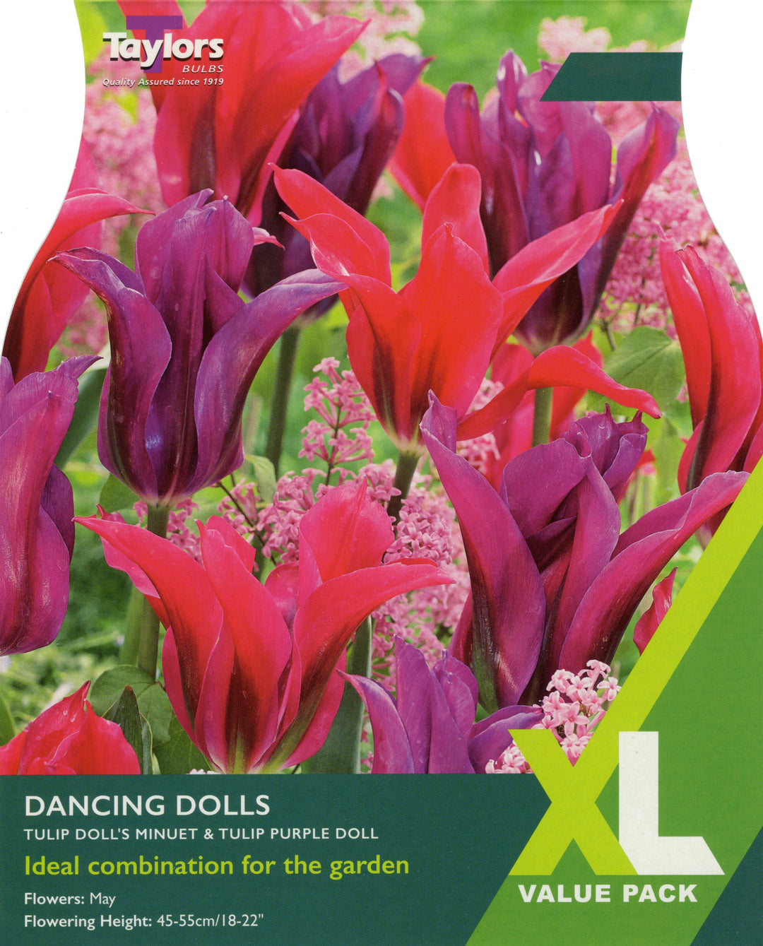 DANCING DOLLS x 20