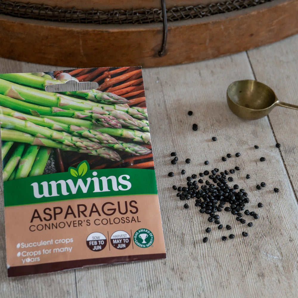 Asparagus Connover S Colossal - Seed Packets - Windyridge Garden Centre