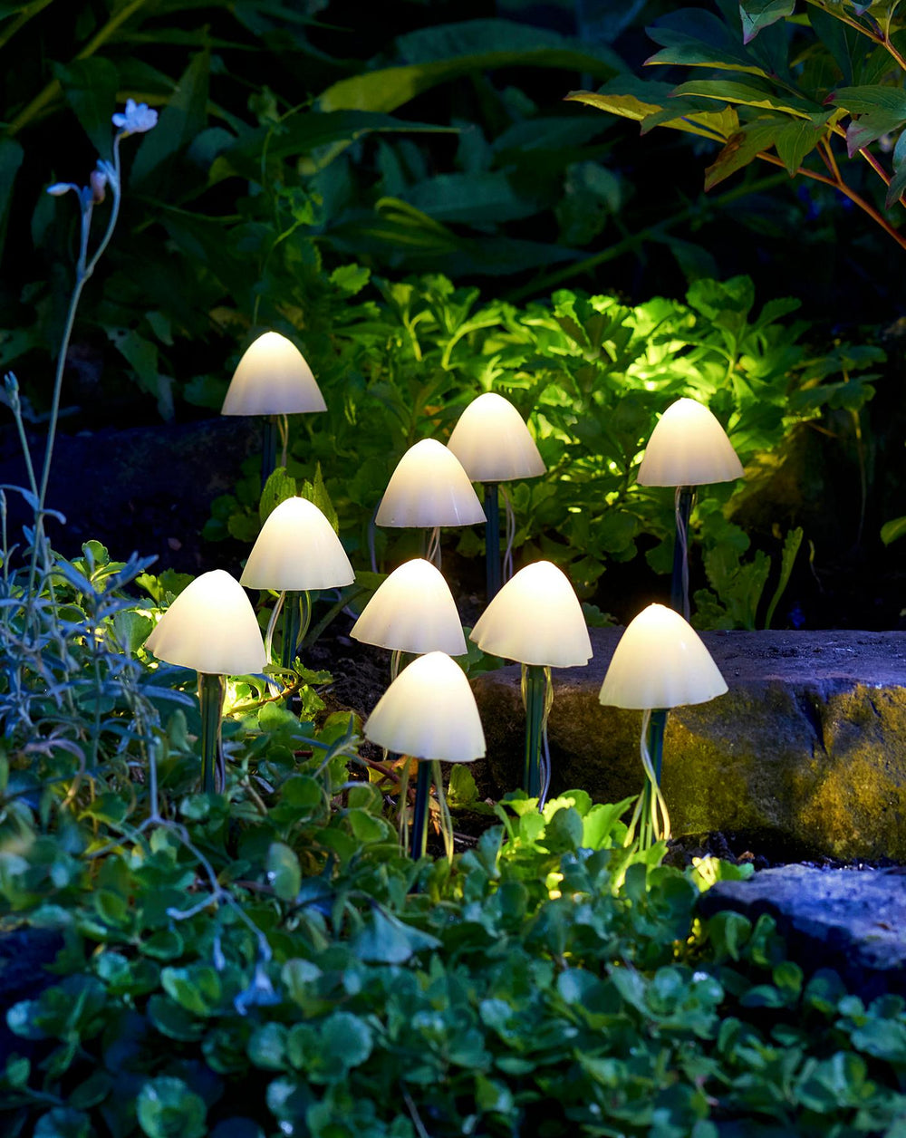 Smart Solar Lumishroom Stake Lights Set Of 10 - Outdoor Living - Windyridge Garden Centre