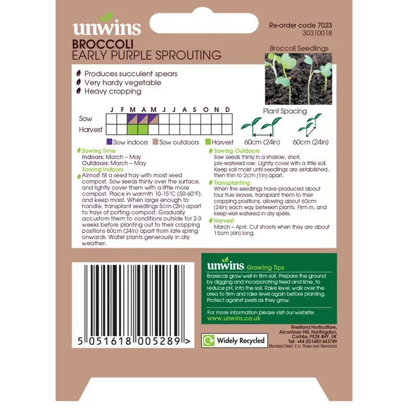 Broccoli Early Purple Sprouting - Seed Packets - Windyridge Garden Centre