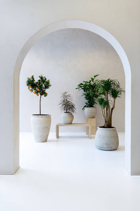 Artemis S, Chalk White  Ø58Cm - Pots - Windyridge Garden Centre