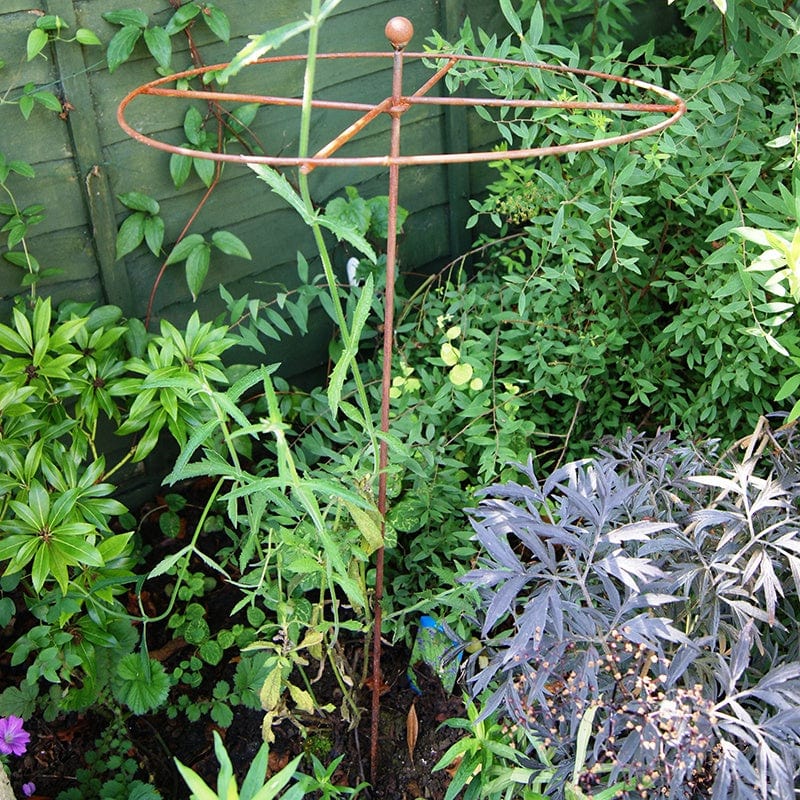 16in Simple Circle Plant Support Rust