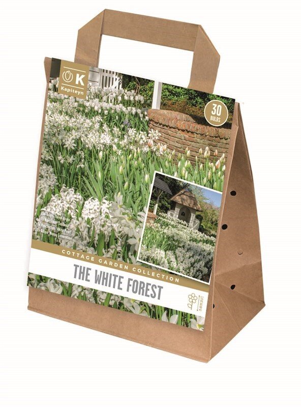 COTTAGE GARDEN WHITE FOREST X 30