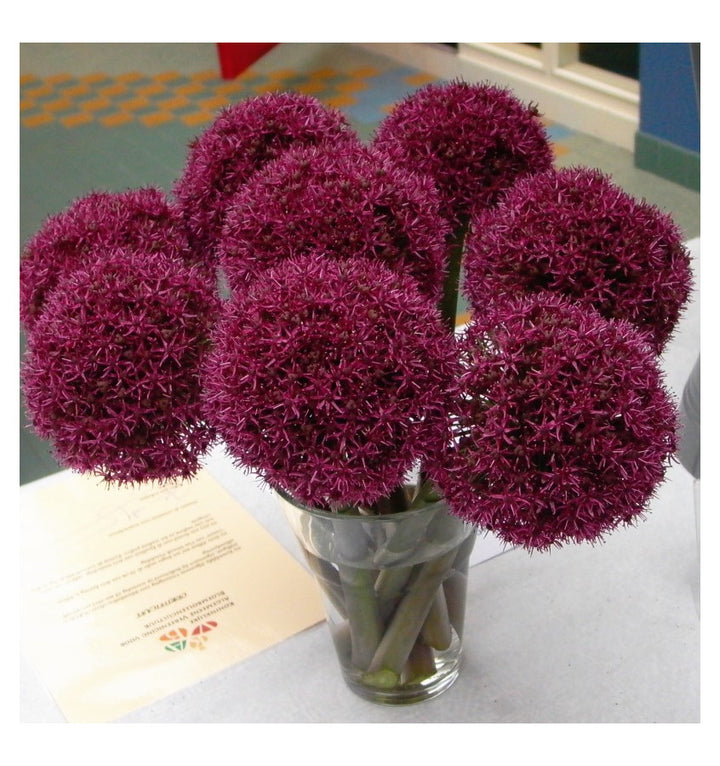OUTDOOR ALLIUM ZINC BUCKET 3