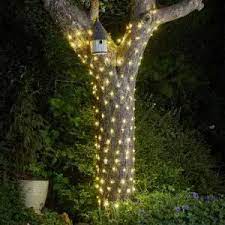 Firefly String Lights - 50 Warm White LEDs