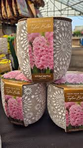 ENGRAVED STONE HYACINTH PLANTER 3