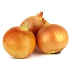 Onion Sturon (Yellow) 100 - Bulbs - Windyridge Garden Centre