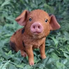 Rl Oxford Sandy/Black Piglet F - Ornaments - Windyridge Garden Centre