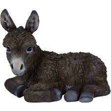 NF Baby Laying Donkey D