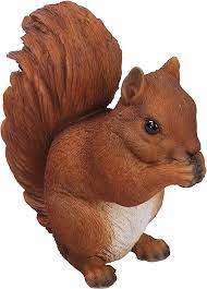 RL Sitting Red Squirrel B