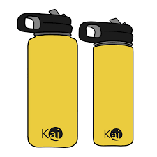 Kai Bottle 18Oz Yellow - Yeti - Windyridge Garden Centre