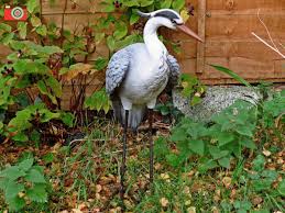 Real Life Heron A - Ornaments - Windyridge Garden Centre