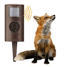 FOXWATCH Ultrasonic