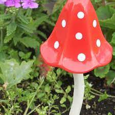 Toadstool Red Polkadot  M