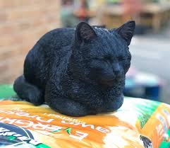 Rl Dreaming Cat Black B - Ornaments - Windyridge Garden Centre