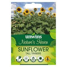 Sunflower Tall Timbers - Seed Packets - Windyridge Garden Centre