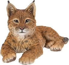 Real Life Laying Lynx A
